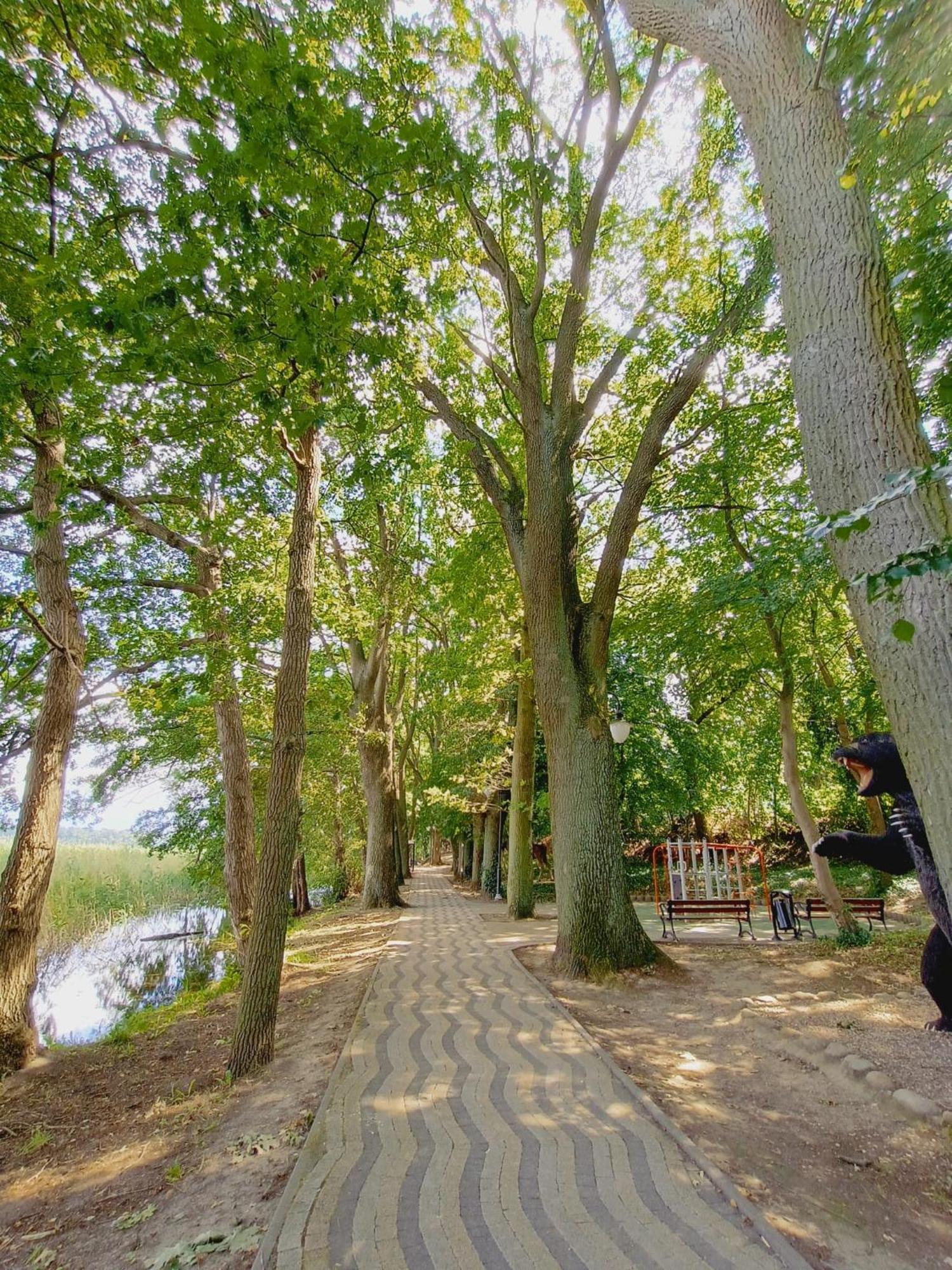 Hotel Domki obok plaży Moryn Zewnętrze zdjęcie