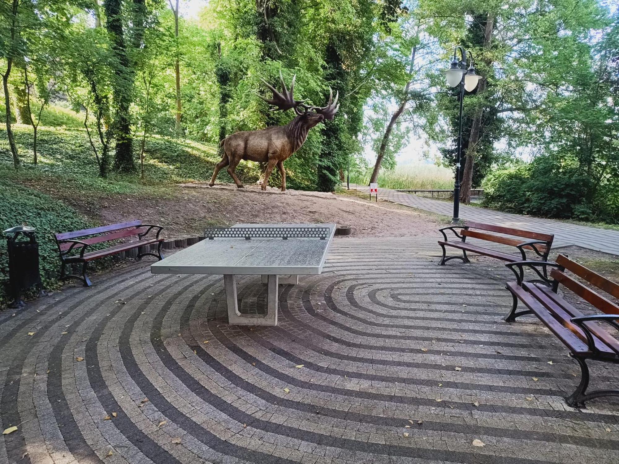 Hotel Domki obok plaży Moryn Zewnętrze zdjęcie